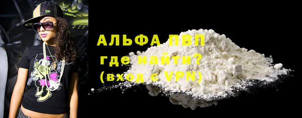 СК Елабуга