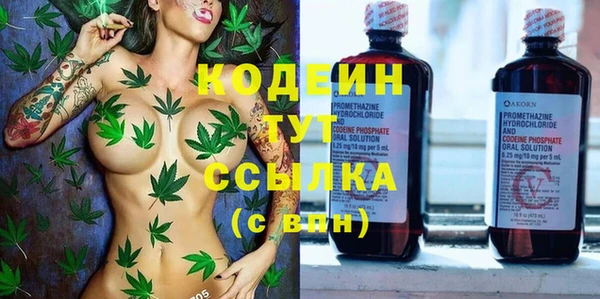 СК Елабуга