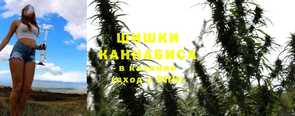 СК Елабуга