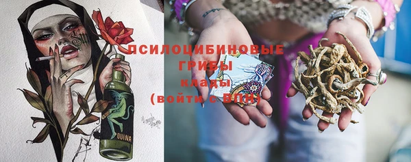СК Елабуга