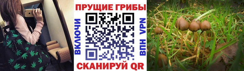 Галлюциногенные грибы мухоморы  Купить  Воскресенск 